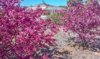 20 Reubens Ln, Edgewood, NM 87015