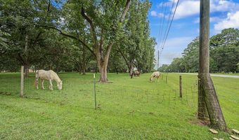 4228 Nichols St, Albany, GA 31705