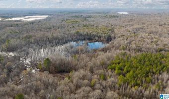 BRUSH CREEK DRIVE, Akron, AL 35441