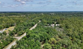 SW Gator Trl, Arcadia, FL 34266