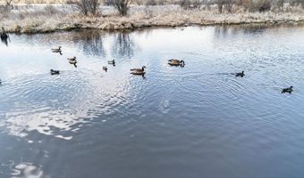271 18 Acres Zwettler/Foster Rd, Arena, WI 53503
