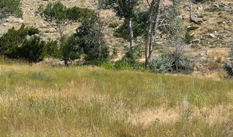 TBD Wall St 14, Cody, WY 82414
