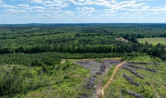 Lot 3a Elberton Highway, Lincolnton, GA 30817
