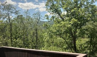 274 THE Hl 13-C, Basye, VA 22810