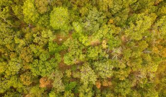229 County Road 314, Alton, MO 65606