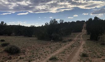 302-17 306 Haywire Rd, Ash Fork, AZ 86320