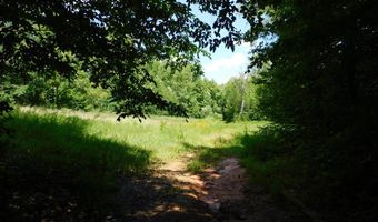 98 63 AC Pointer Rd, Alton, VA 24520