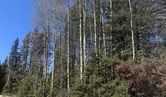 Lot 15 Pleasant Meadow Drive, Angel Fire, NM 87710