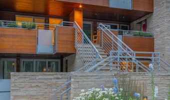 100 E Cooper Ave 11, Aspen, CO 81611