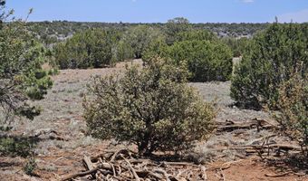 ACR N8388 and N8385, Concho, AZ 85924
