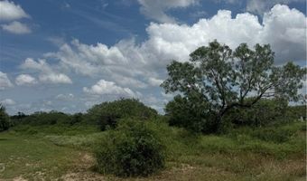 197 COUNTY ROAD 1171, Alice, TX 78332