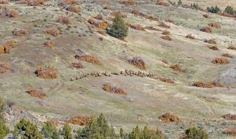 91355 HWY 293, Antelope, OR 97001