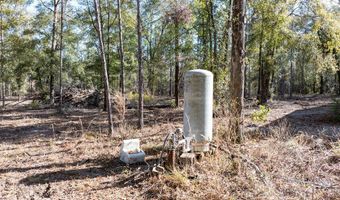 4700 County Road 340, Bell, FL 32619