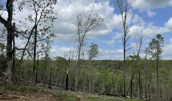 State Hwy N Tract G, Ava, MO 65608
