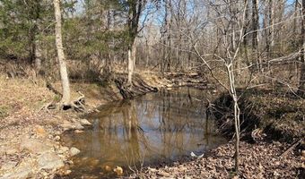 11111 Hwy 62/412, Ash Flat, AR 72513