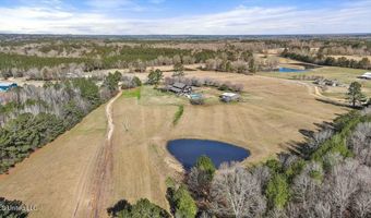 766 Pinola Braxton Rd, Braxton, MS 39044
