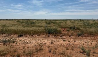 1120 SE 1630, Andrews, TX 79714