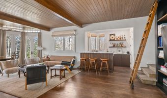 156 Eppley Dr, Aspen, CO 81611