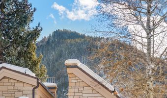 825 E Hopkins Ave 2S, Aspen, CO 81611