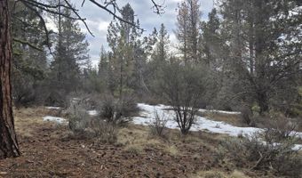 Jaguar Lane Lot 7 & 8, Bonanza, OR 97623