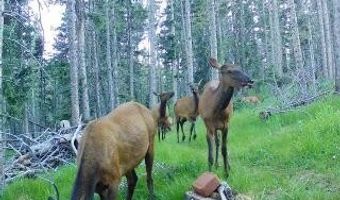 Lot 1267 Starlight Overlook, Angel Fire, NM 87710