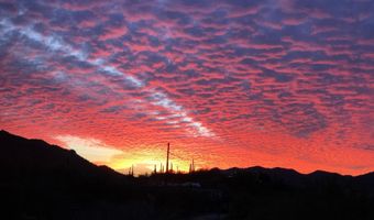 6145 E CAVE CREEK Rd 103, Cave Creek, AZ 85331