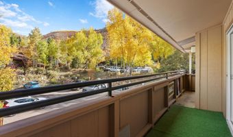 326 Midland Ave 306, Aspen, CO 81611