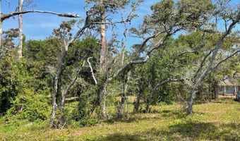 540 Seashore Dr, Atlantic, NC 28511