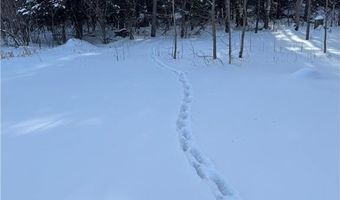 13102 Seaberg Ln, Bagley, MN 56621