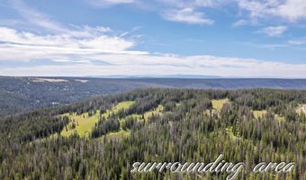 85 N FORK Rd, Centennial, WY 82055