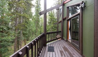 163 LONE HAND Way, Breckenridge, CO 80424