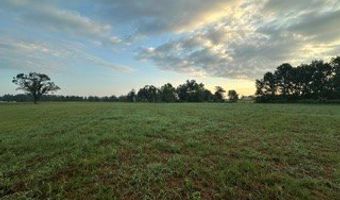 447 CR 215, Abbeville, MS 38601