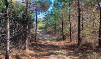 1163 Juneberry Rd, Camden, SC 29020