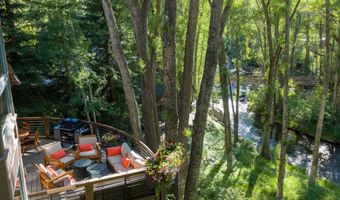 115 Neale Ave, Aspen, CO 81611