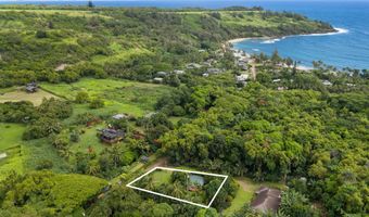 3665 MOLOAA Rd, Kapaa, HI 96746