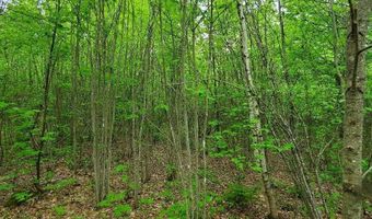 77 S Princeton Rd, Alexander, ME 04694
