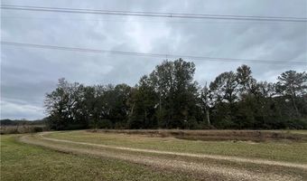 61027 RUTH HOLTON Rd, Amite, LA 70422