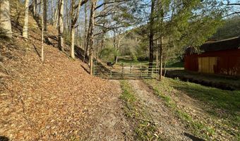 1170 Straight Run Rd, Alum Bridge, WV 26321