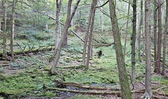 Shaver Hollow, Andes, NY 13731