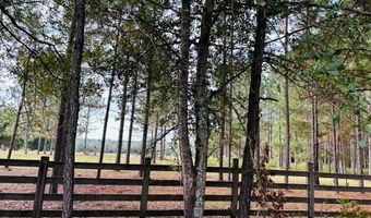644 Ash-Harrel Loop, Abbeville, GA 31001