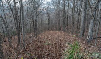 Larkspur Trail lot 33, Banner Elk, NC 28604