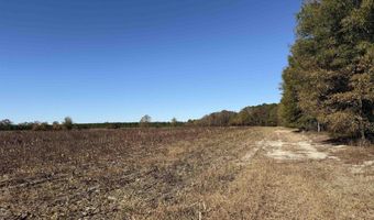 53 86 Acres-TBD Pate Rd, Bishopville, SC 29010