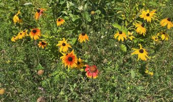 4615 WINDING CREEK Trl, Abrams, WI 54101