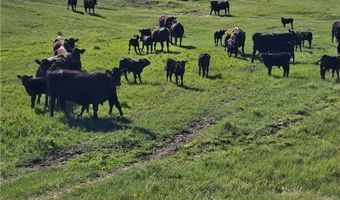 480 Spring Creek Rd, Baker, MT 59336