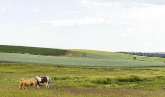 TBD E 1400 N, Ashton, ID 83420