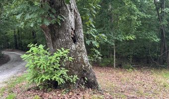12 Acres Horton Dr, Abbeville, SC 29620