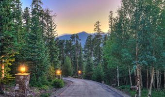 264 Little Sallie Barber Trl, Breckenridge, CO 80424
