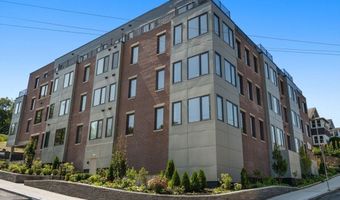 249 Corey Road 301, Boston, MA 02135