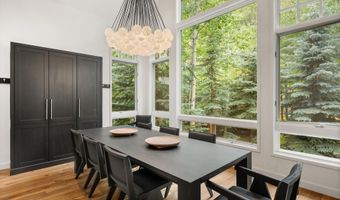 971 Ute Ave, Aspen, CO 81611