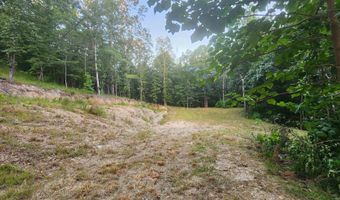 Lot 7 Oversprings Drive, Alexander, AR 72002